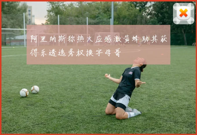 阿里纳斯称热火应感激黄蜂助其获得乐透选秀权换字母哥