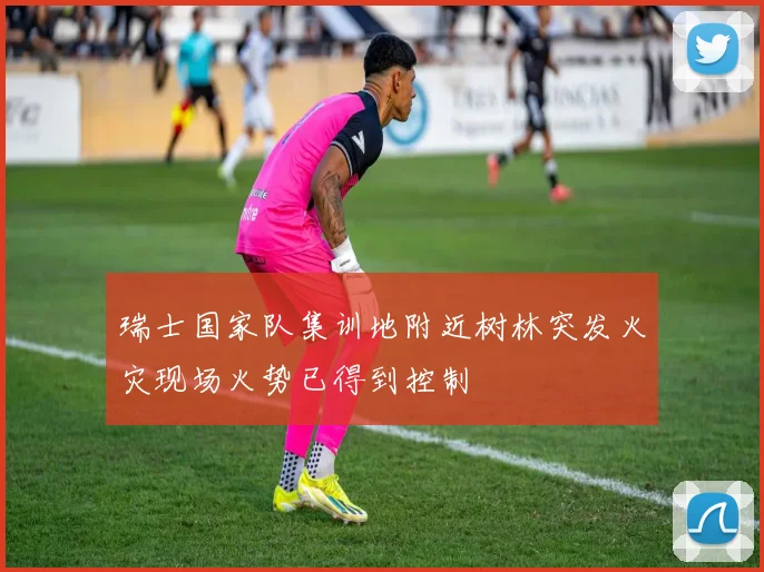 瑞士国家队集训地附近树林突发火灾现场火势已得到控制